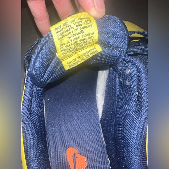 Nike Michigan dunks, size 13 - Picture 6 of 8